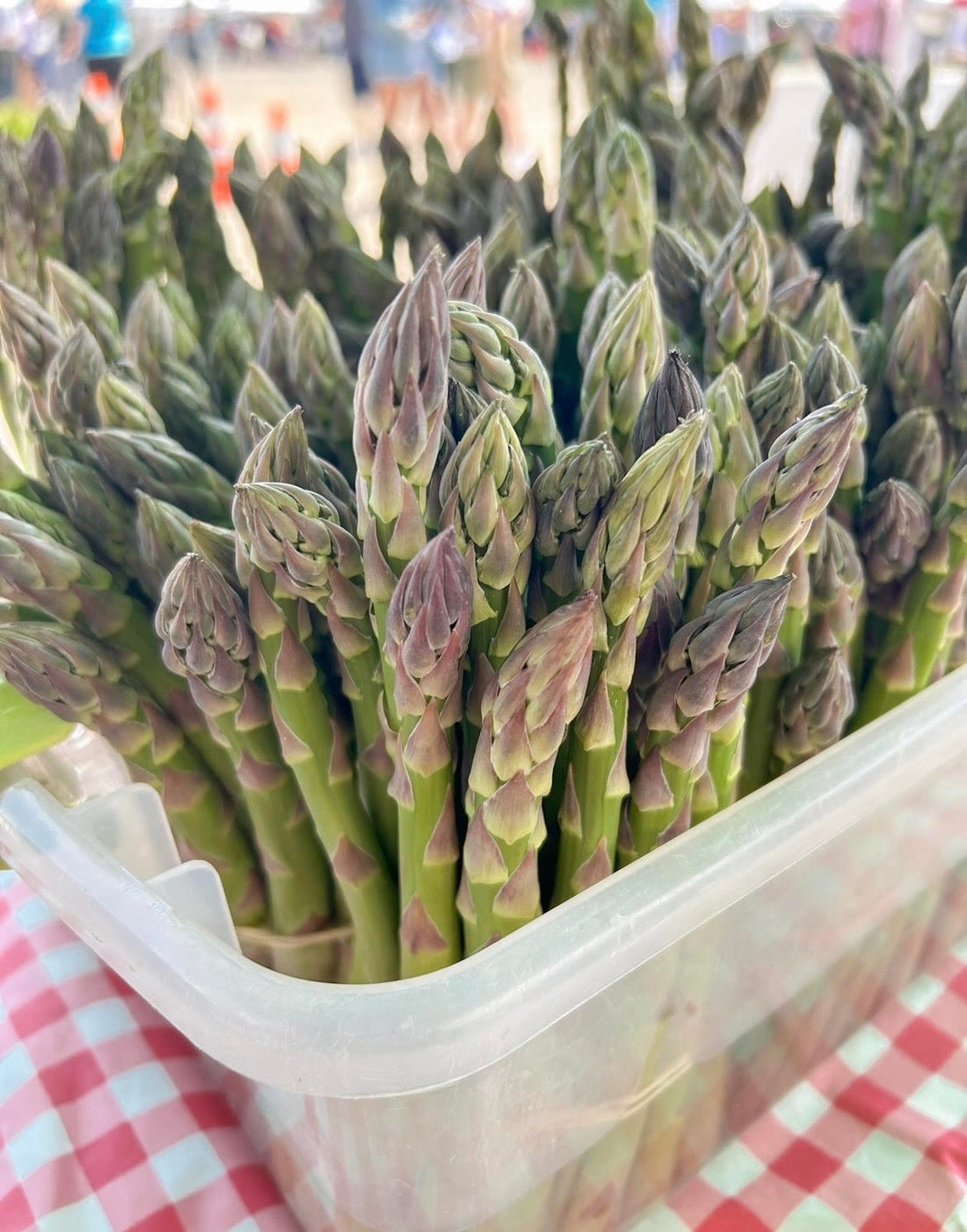 Cream of Asparagus Soup